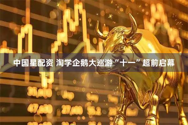 中国星配资 淘学企鹅大巡游“十一”超前启幕