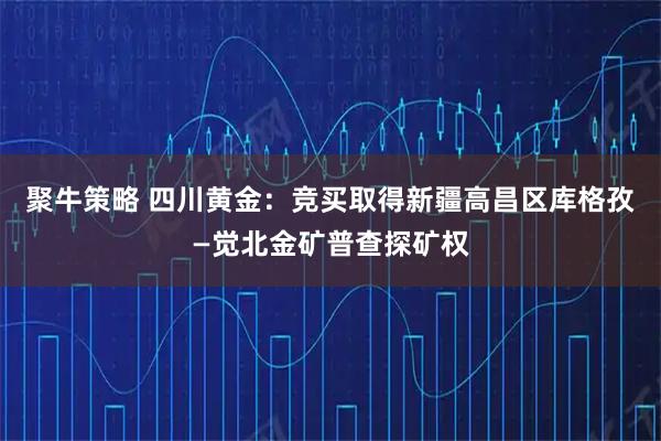聚牛策略 四川黄金：竞买取得新疆高昌区库格孜—觉北金矿普查探矿权