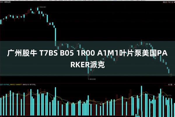 广州股牛 T7BS B05 1R00 A1M1叶片泵美国PARKER派克